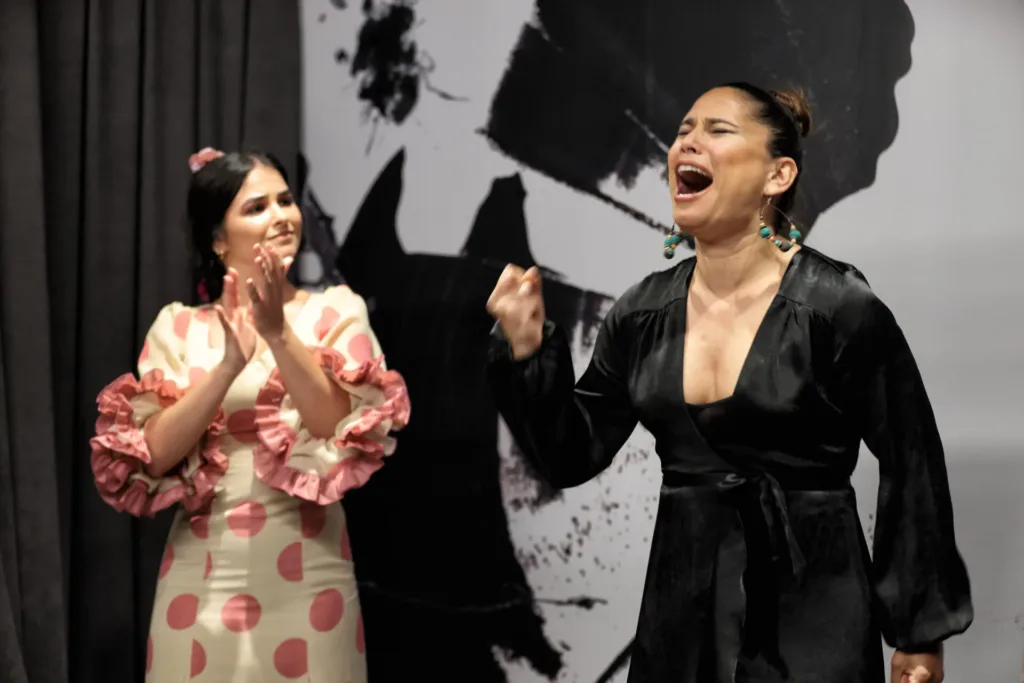 Centro Flamenco de Sevillaから現在のタブラオへ：デジタル化がセビリアのフラメンコ業界をどう変えたか