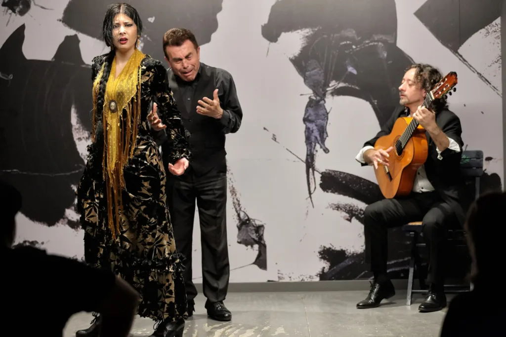 Centro Flamenco de Sevillaから現在のタブラオへ：デジタル化がセビリアのフラメンコ業界をどう変えたか