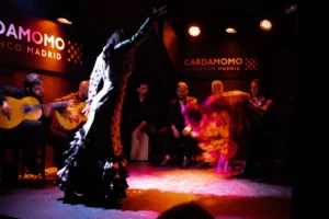 Cardamomo Flamenco Madrid | Tablaos Flamencos