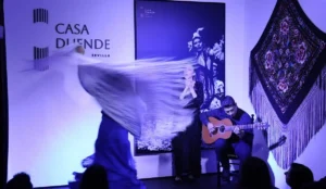 Casa Duende Tablao | Tablaos Flamencos