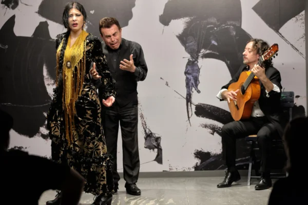 Centro Flamenco de Sevilla