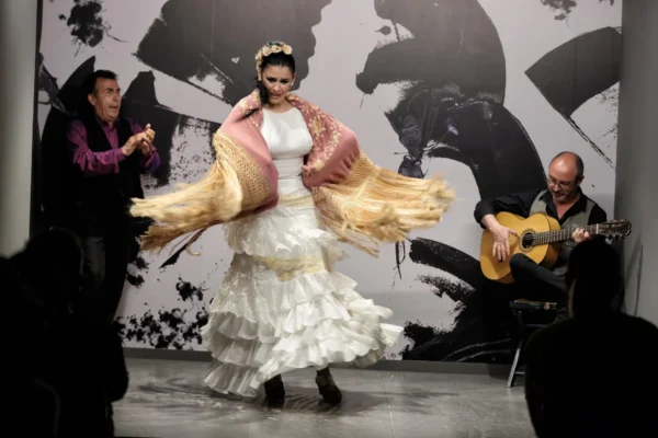 Centro Flamenco de Sevilla