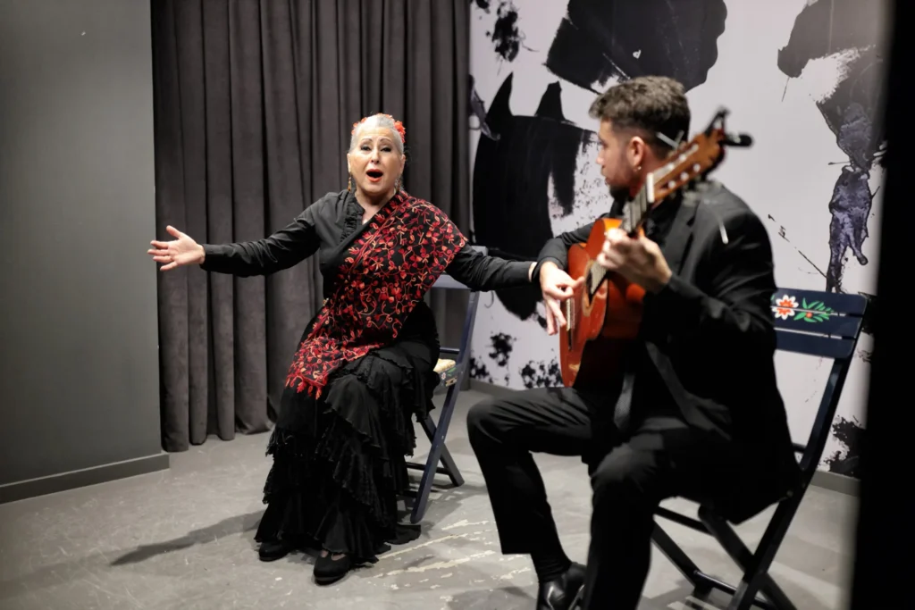 Centro Flamenco de Sevilla
