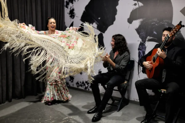 Centro Flamenco de Sevilla
