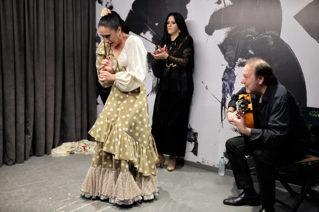 Centro Flamenco de Sevilla