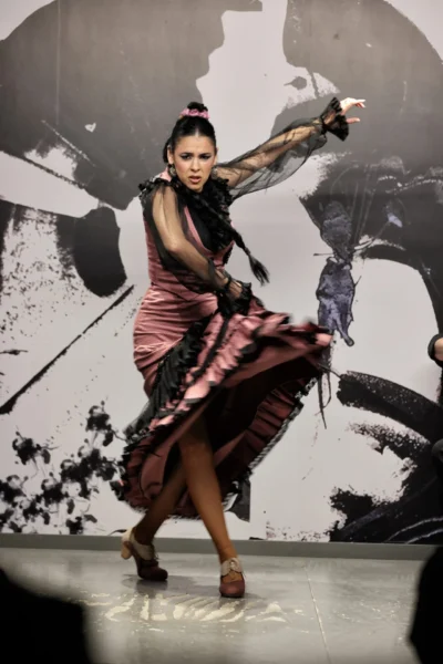Centro Flamenco de Sevilla