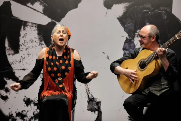 Centro Flamenco de Sevilla