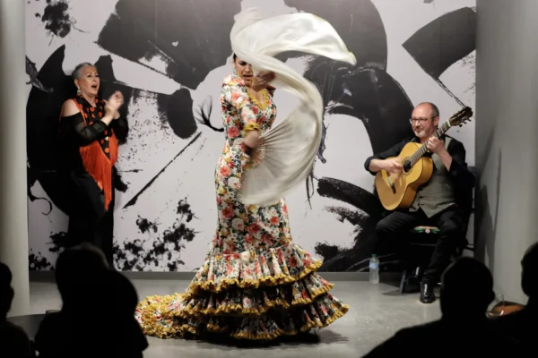 Centro Flamenco de Sevilla
