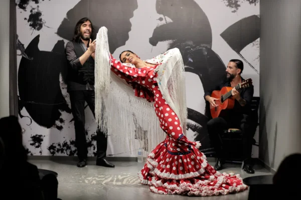 Centro Flamenco de Sevilla