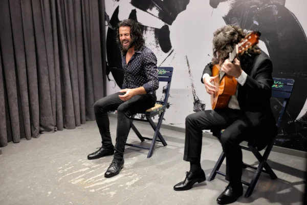 Centro Flamenco de Sevilla