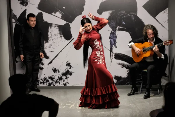 Centro Flamenco de Sevilla