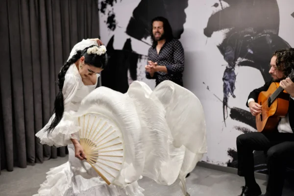 Centro Flamenco de Sevilla