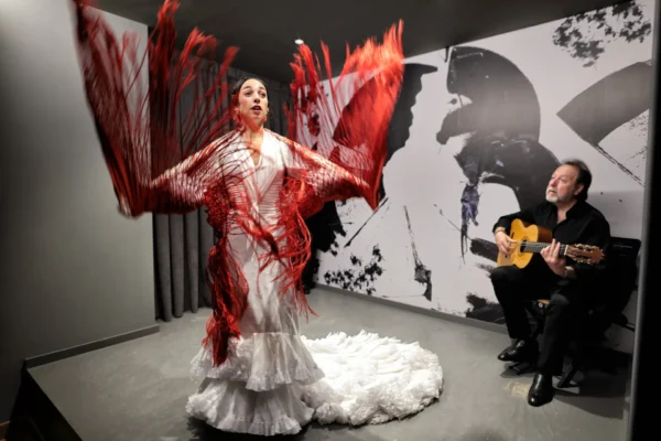 Centro Flamenco de Sevilla