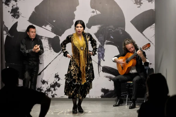Centro Flamenco de Sevilla
