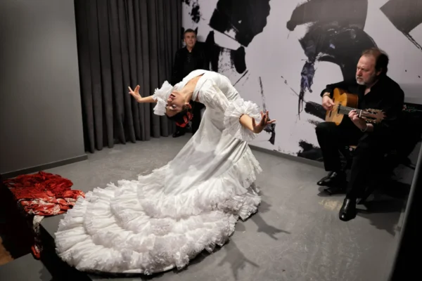 Centro Flamenco de Sevilla