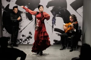 Centro Flamenco de Sevilla