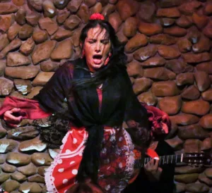 Flamenco El Gallo Ronco | Tablaos Flamencos