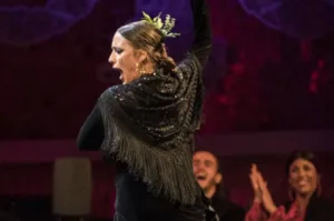 Flamenco El Gallo Ronco | Tablaos Flamencos