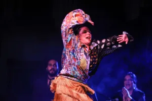 Flamenco El Gallo Ronco | Tablaos Flamencos