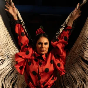 Flamenco El Gallo Ronco | Tablaos Flamencos
