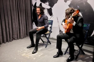 Flamenco Privado Sevilla