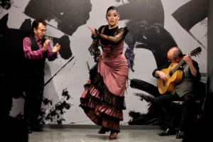 Flamenco Privado Sevilla