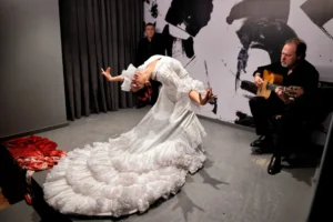 Flamenco Privado Sevilla
