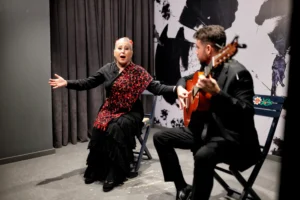 Flamenco Privado Sevilla