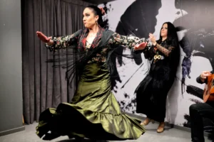 Flamenco Privado Sevilla