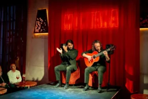 Montana Cocktails & Flamenco | Tablaos Flamencos