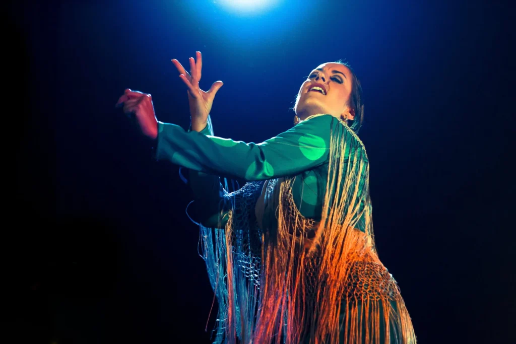 Tablao Flamenco Café Ziryab | Flamenco Madrid