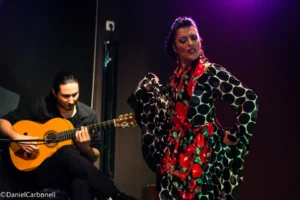 Tablao Flamenco Café Ziryab | Flamenco Madrid