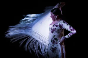 Tablao Flamenco Café Ziryab | Flamenco Madrid