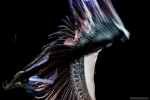 Tablao Flamenco Café Ziryab | Flamenco Madrid