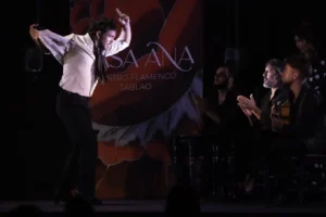 Tablao Flamenco Casa Ana | Flamenco Granada