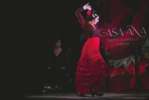 Tablao Flamenco Casa Ana | Flamenco Granada