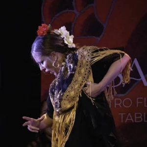 Tablao Flamenco Casa Ana | Flamenco Granada