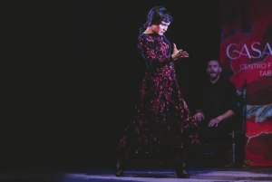 Tablao Flamenco Casa Ana | Flamenco Granada
