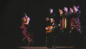 Tablao Flamenco Casa Ana | Flamenco Granada