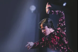 Tablao Flamenco Casa Ana | Flamenco Granada