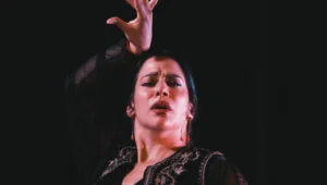 Tablao Flamenco Casa Ana | Flamenco Granada