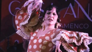 Tablao Flamenco Casa Ana | Flamenco Granada
