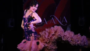 Tablao Flamenco Casa Ana | Flamenco Granada