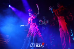 Tablao Flamenco Las Setas | Tablaos Flamencos