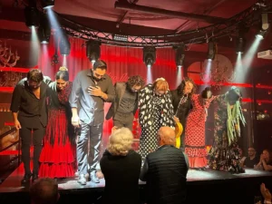 Tablao Flamenco Las Setas | Tablaos Flamencos