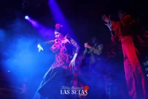 Tablao Flamenco Las Setas | Tablaos Flamencos