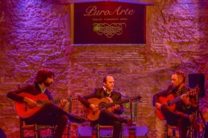 Tablao Flamenco Jerez | Tablao Puro Arte