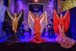 Tablao Flamenco Jerez | Tablao Puro Arte