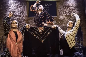 Tablao Flamenco Jerez | Tablao Puro Arte