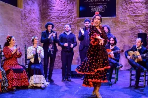 Tablao Flamenco Jerez | Tablao Puro Arte